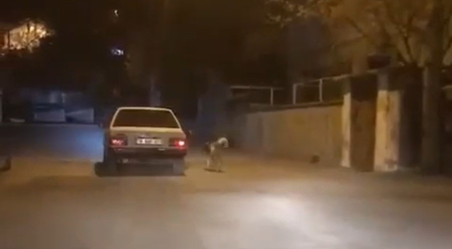 Vicdansız sürücü köpeği otomobilin kapısına bağlayıp koşturdu
