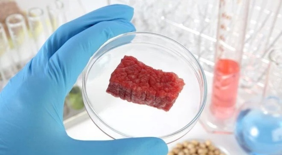 İtalya sentetik gıdayı yasaklayacağını duyurdu