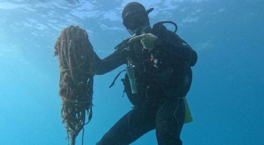 Falezler bölgesinde balıkçı ağları sebebiyle yüzlerce su canlısının hayatı tehlikede!