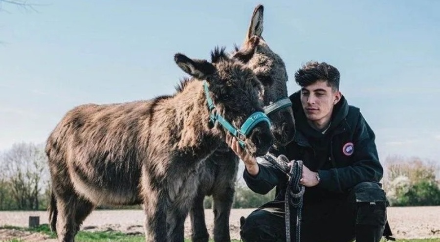 Chelsea'nin yıldızı Havertz: Arkadaşlarım bana "eşek" diyor