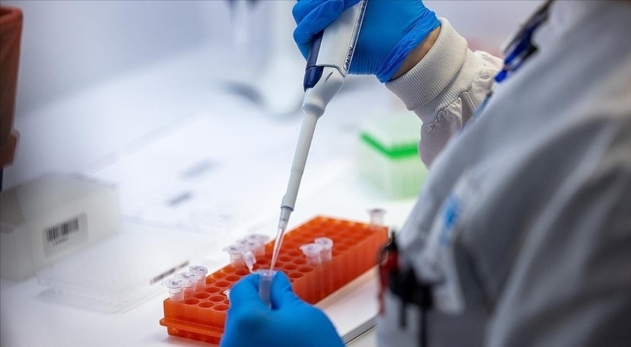 Marburg virüsü, Ekvator Ginesi'nde yayılmaya devam ediyor