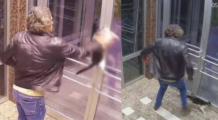 Kedilere eziyet eden adam tahliye edildi; mahkeme akıl sağlığı raporu istedi