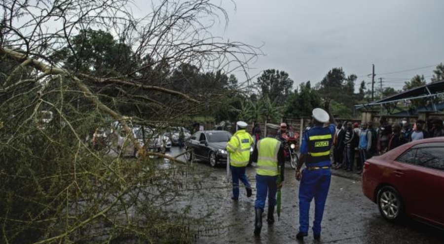 Kenya'da 14 kişi öldü