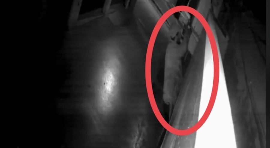 Hoparlör çalmak için duvara tırmanan hırsız, güvenlik kameralarına yakalandı