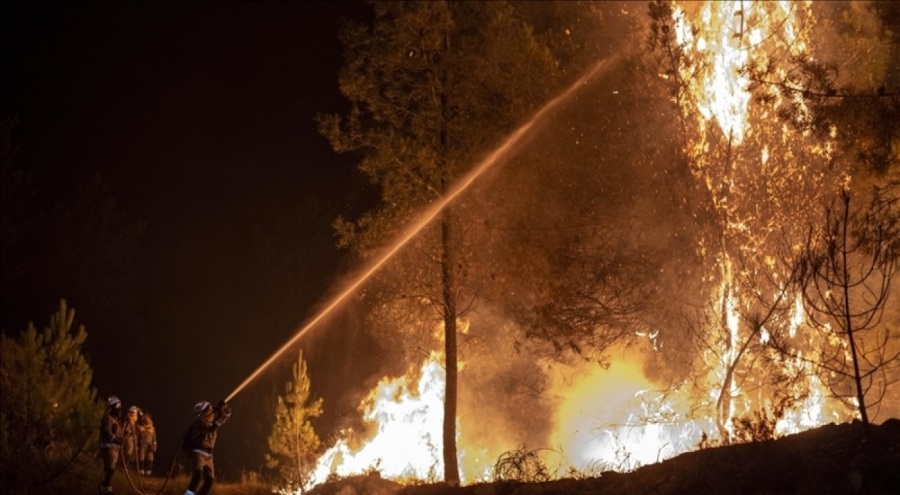 İspanya'da orman yangınları devam ediyor