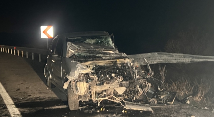 Başıboş köpek kazaya neden oldu: 1 yaralı