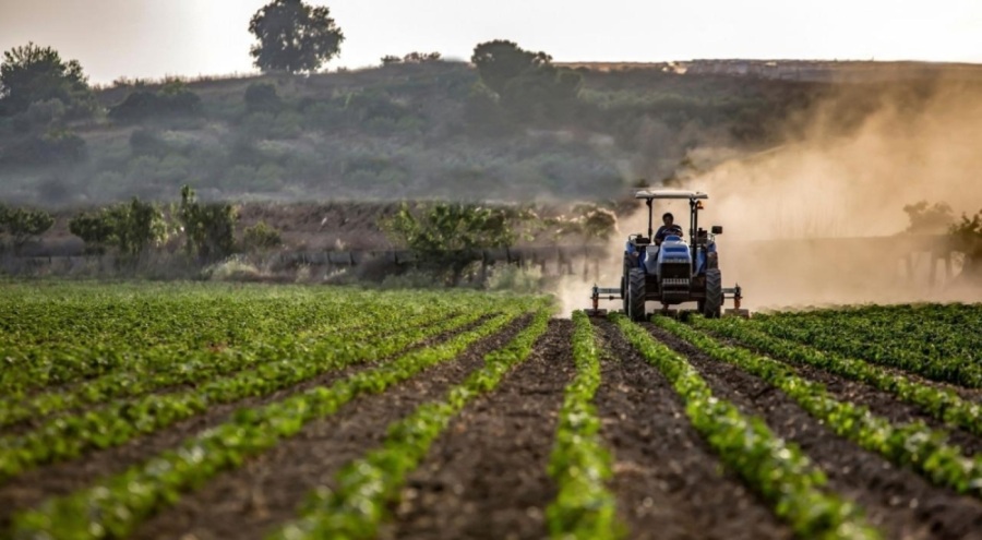 Depremden sonra tarımda 5,1 milyar dolarlık kayıp!
