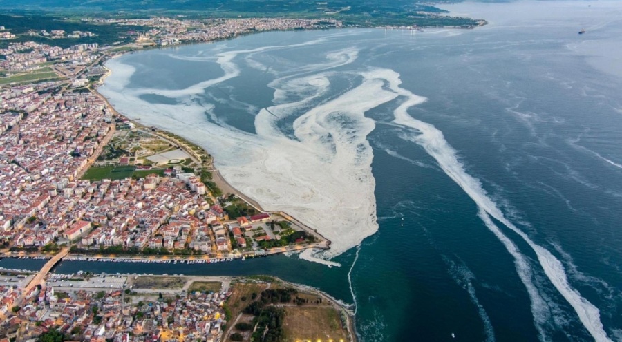 Uzmanlardan korkutan uyarı: Kuraklık nedeniyle müsilaj riski arttı
