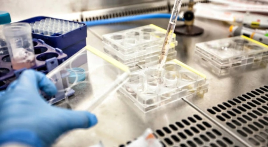 Kanser vakalarında yüzde 55 artış bekleniyor