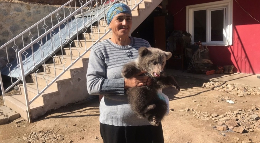 Yolda bulduğu ayı yavrusunu yetkililere teslim etti