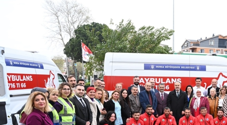 Bursa'da sokak hayvanlarına 'Haybulans'larla müdahale edilecek