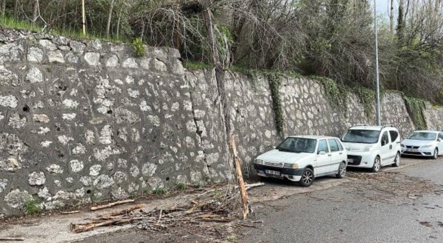 Karabük'te kuvvetli rüzgar hayatı olumsuz etkiledi