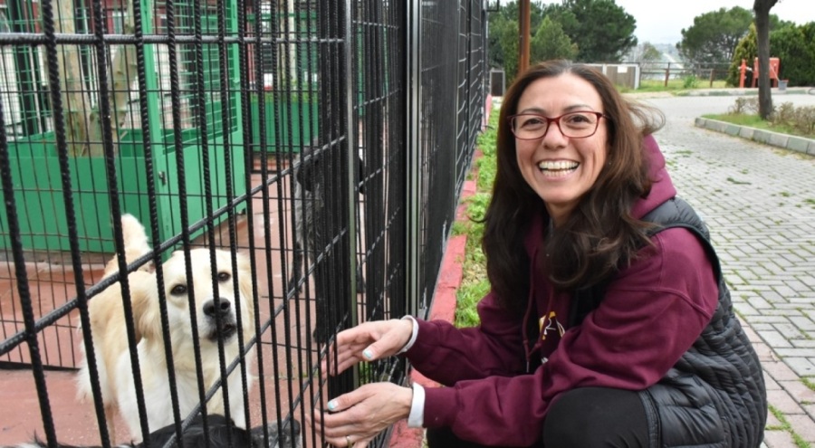 ABD'den gelen hayvansever Rieley, Bursa'da 4 köpek sahiplendi