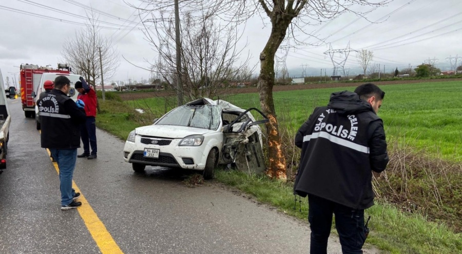 Ağaca çarpan otomobilin sürücüsü öldü hayatını kaybetti