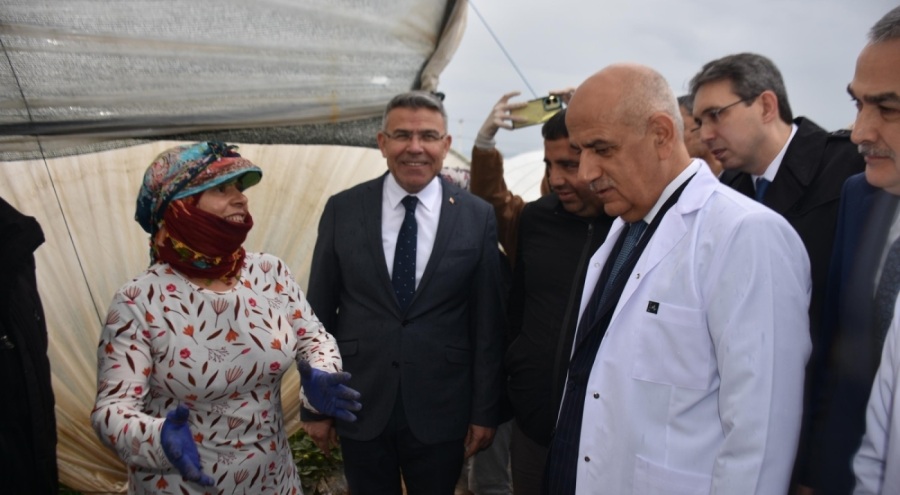 Bakan Kirişci: Örtü altı üretim alanı 811 bin dekara çıktı