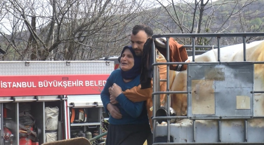 İstanbul'da süt makinesinden çıkan yangında ahır kül oldu