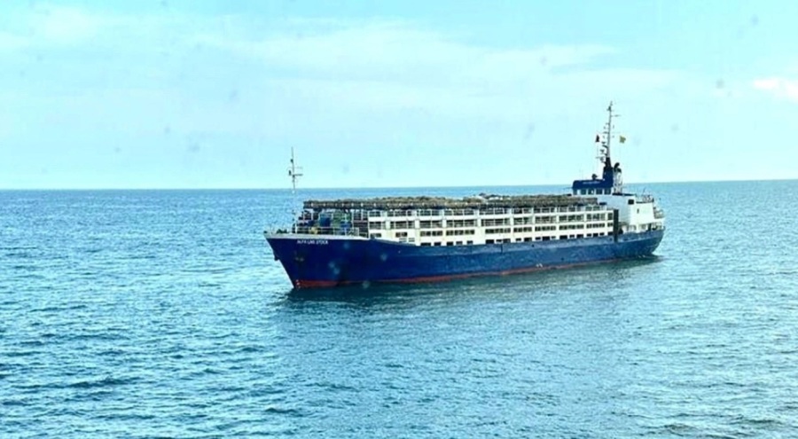 Sarıyer açıklarında canlı hayvan gemisi arızası