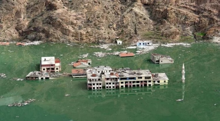 Yusufeli Barajı'nın sularına gömülen ilçede yılanlar da kurtarıldı
