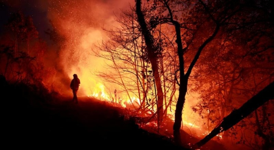İspanya'nın kuzeyindeki ormanlar 3 haftadır yanıyor