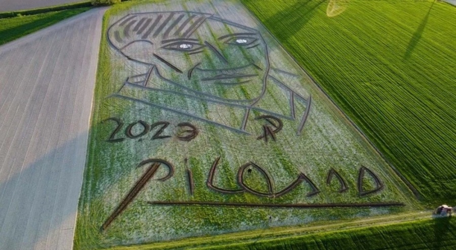 Tarlaya dev Picasso portresi