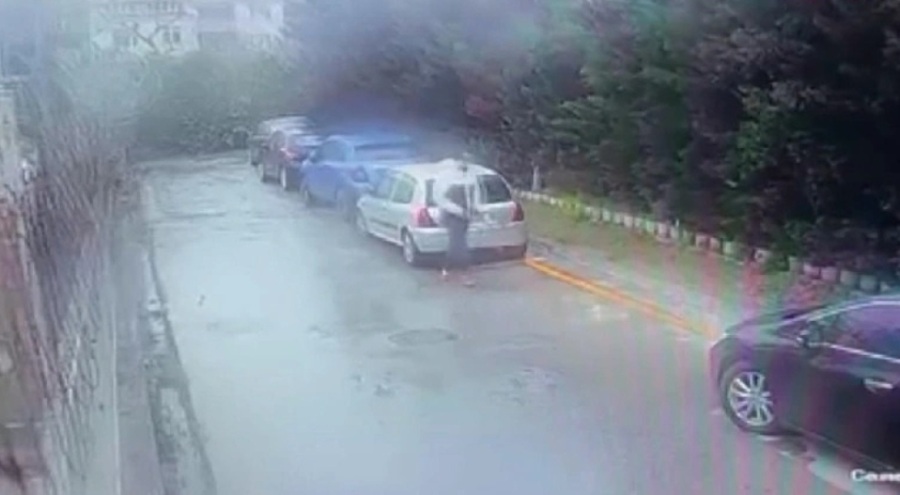 Sitedeki kedileri poşete doldurup götüren cani adam şoke etti