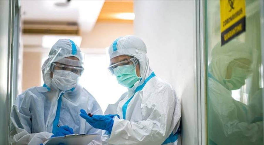 Covid-19 vahşi hayvanlardan değil insanlardan yayıldı