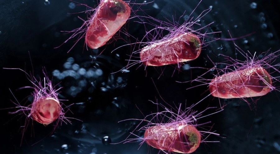 İnsanları bekleyen yeni tehlike: Et yiyen bakteri