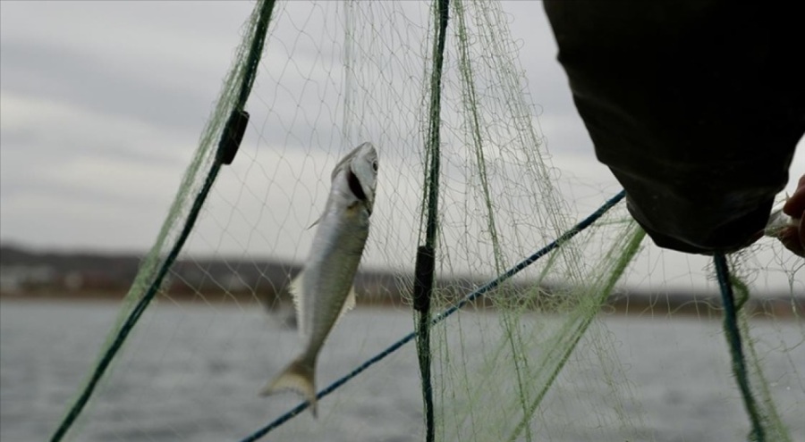ABD'den balıkçılık sübvansiyonlarının azaltılması anlaşmasına onay