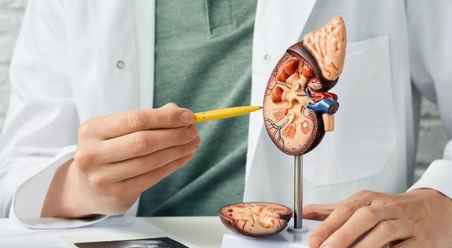 Uzmandan uyarı: Oruç tutan böbrek hastaları, aşırı fiziksel aktiviteden kaçınmalı!