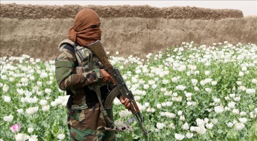 Taliban'dan, et yasağı