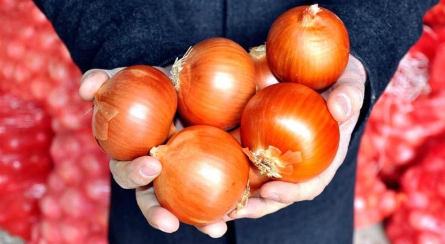 Soğan fiyatları ne zaman düşecek? Tarih verildi
