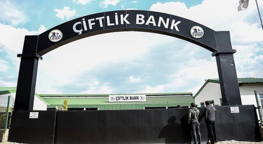 Tosuncuk ve ağabeyine 'bank' davasında hapis