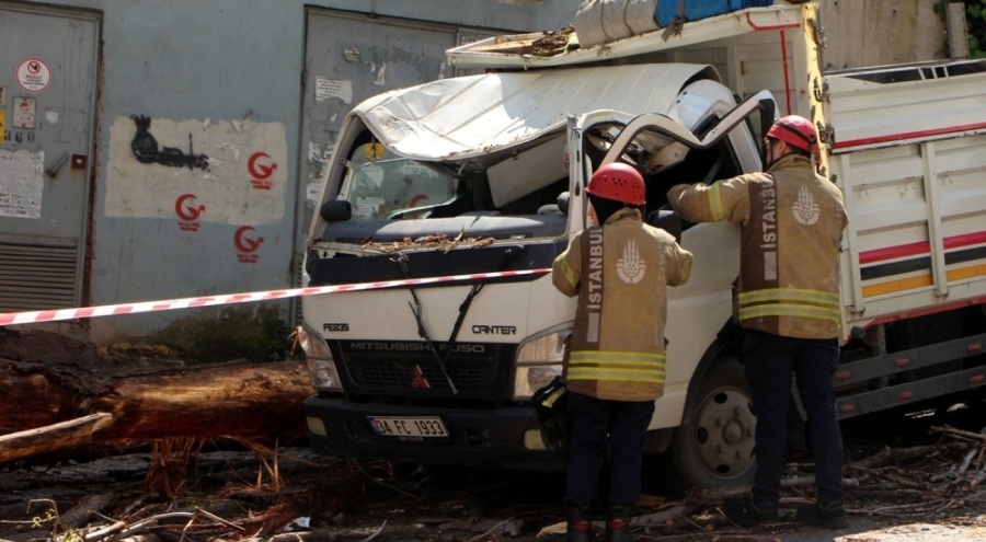 Ağaç, anne ve çocuğunun içinde olduğu kamyonetin üzerine devrildi
