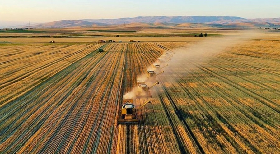 Tarım ÜFE martta yüzde 1.79 yükseldi