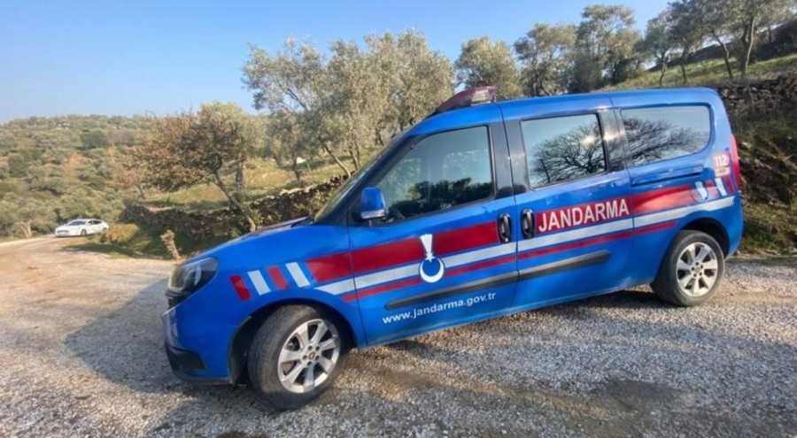 Aydın'da 160 litre zeytinyağı çalan hırsız yakalandı