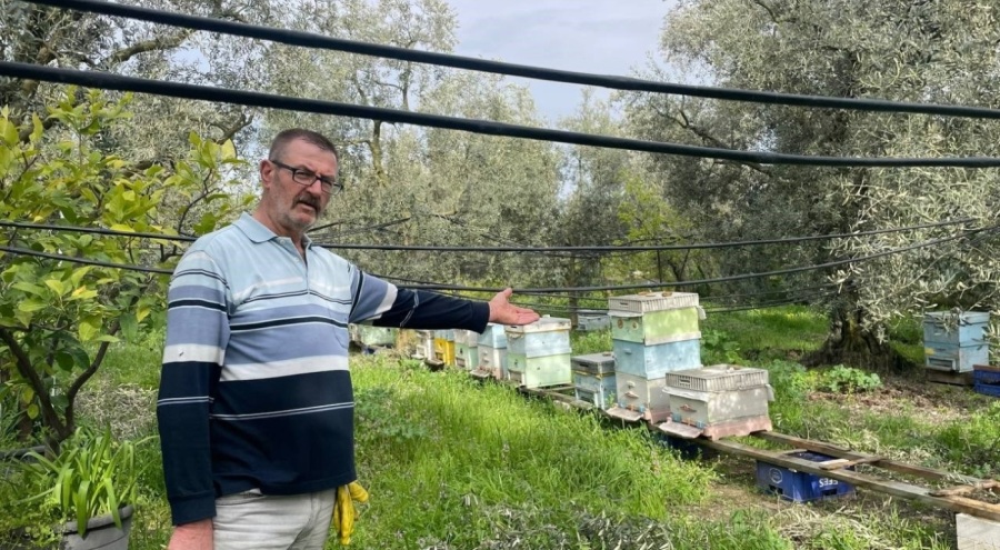 Bursa'da hırsızlar kovanlarını çaldı! '3 gündür kahrımdan ağlıyorum'