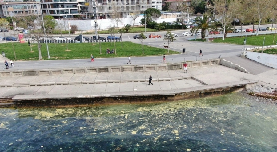Marmara Denizi'nde müsilaj endişesi