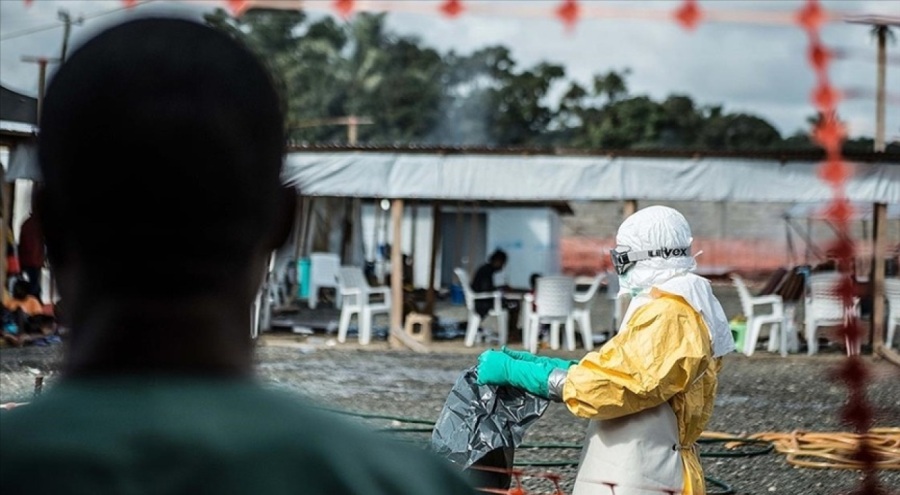 Dünya Sağlık Örgütü: Ekvator Ginesi'nde 6 Marburg virüsü vakası daha tespit edildi