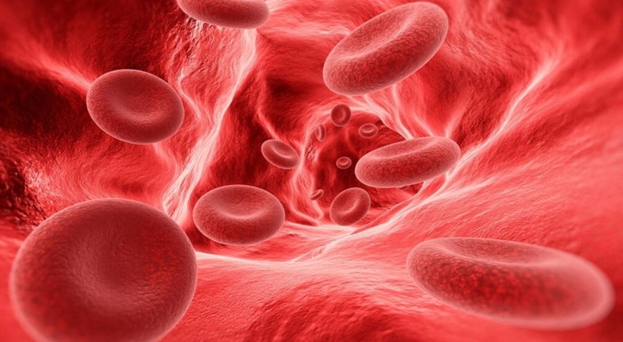 Uzmandan hemofili uyarısı: Genellikle sünnet sonrası ortaya çıkıyor!