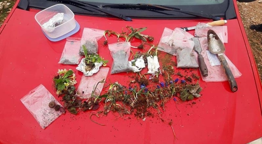 21 ülkeden 156 kişiye 5,6 milyon TL "biyokaçakçılık" cezası kesildi