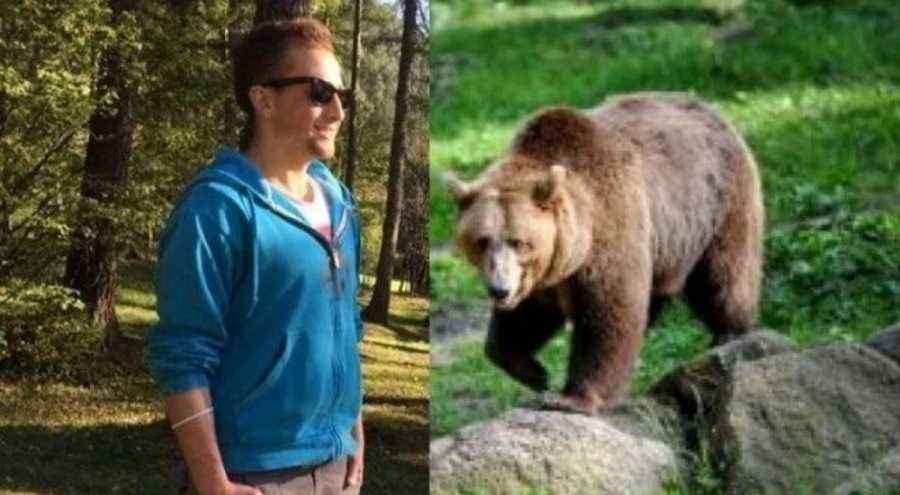 İtalya'da bir koşucuyu öldüren ayının yakalandığı belirtildi