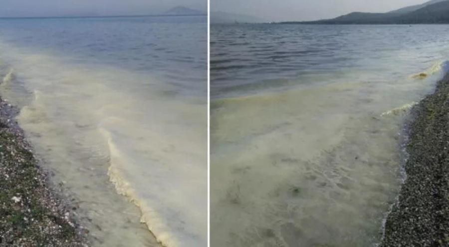 Prof. Dr. Mustafa Sarı: Şu an kremsi müsilajı görüyoruz