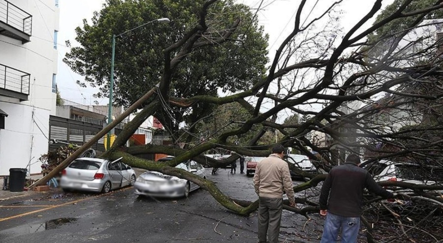 Meksika'yı sel ve fırtına vurdu! Araçlar, sel sularında sürüklendi
