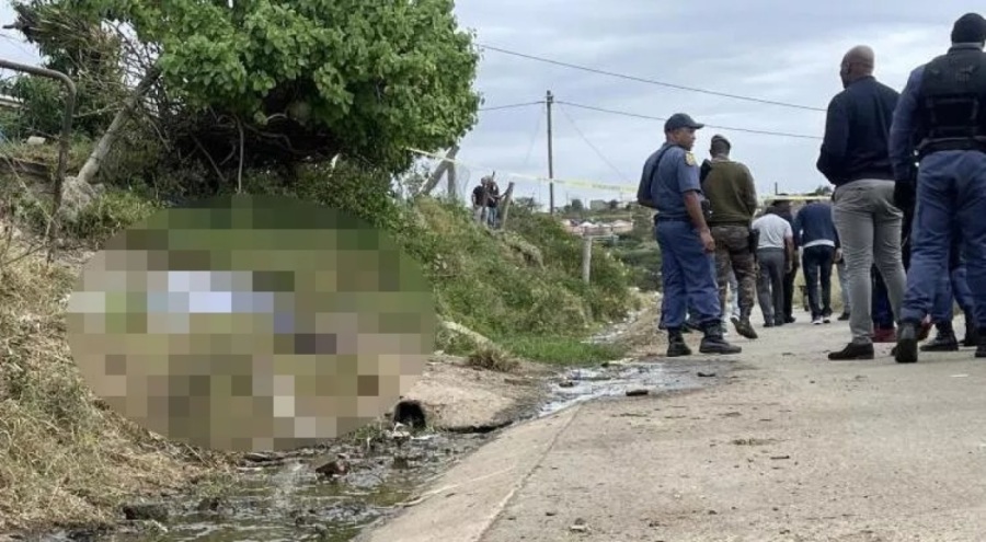 Güney Afrika'da çiftlik evine silahlı baskın: 10 ölü