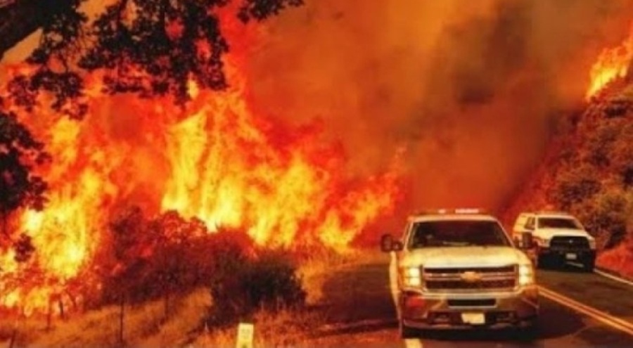 Meksika'da 20 araç küle döndü