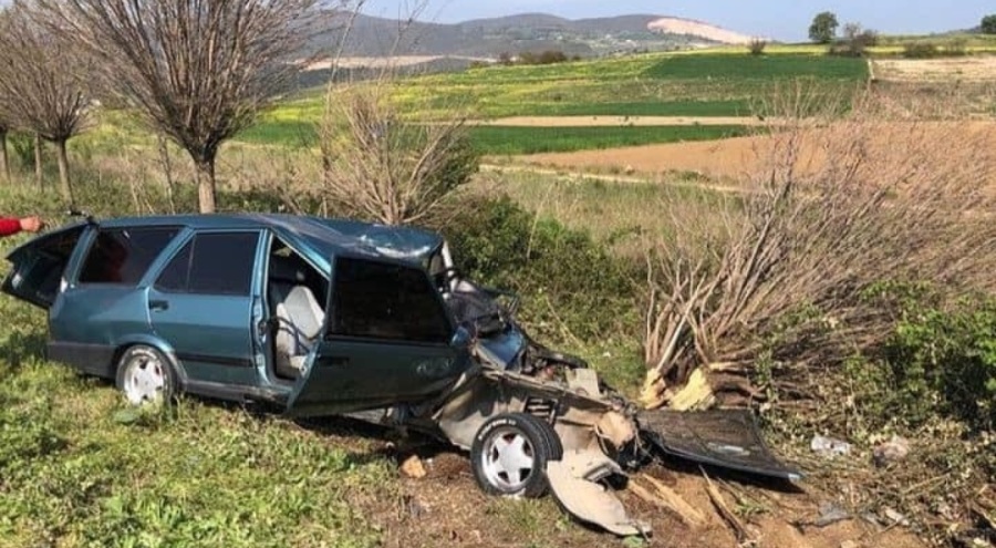 Bursa'da çarptığı ağaç üzerine düşen sürücü feci şekilde can verdi