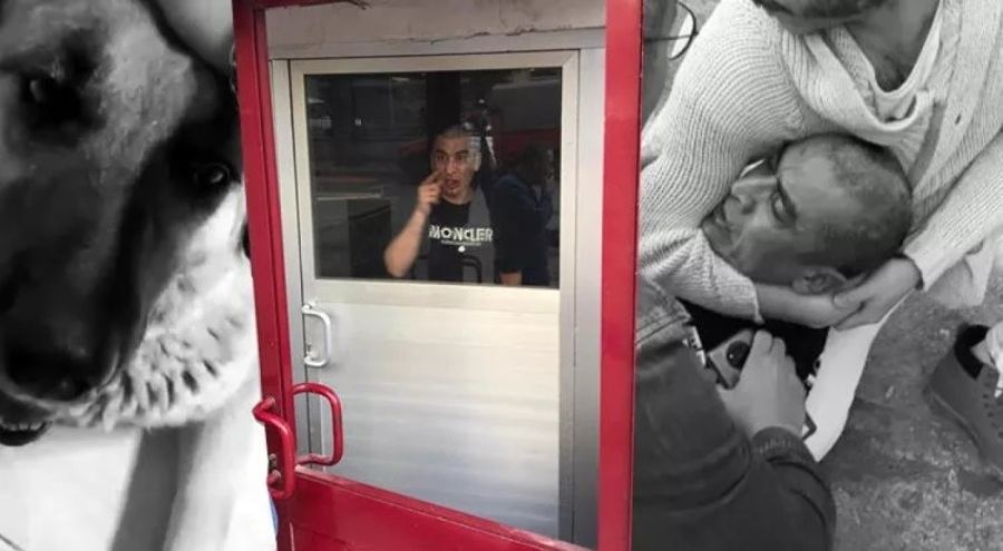 Ankara'da mide bulandıran olay! Köpeğe cinsel saldırıdan tutuklandı