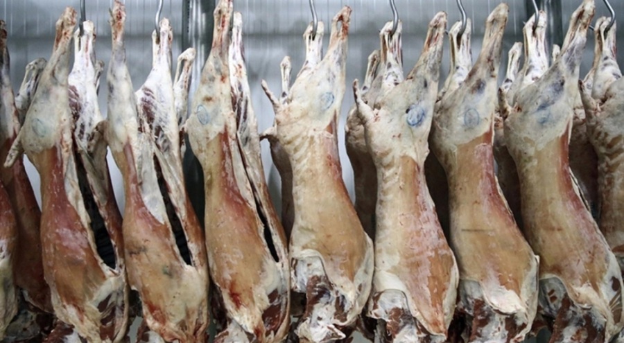 Et ve Süt Kurumu, Ankara'da marketlere indirimli karkas et temin edecek