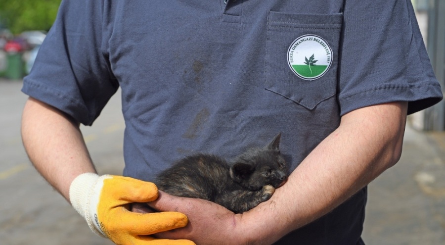 Bursa'da motora sıkışan kedi kurtarıldı