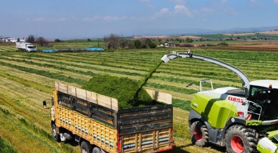 Bursa'nın Yenişehir ilçesinde üreticiler hasada başladı